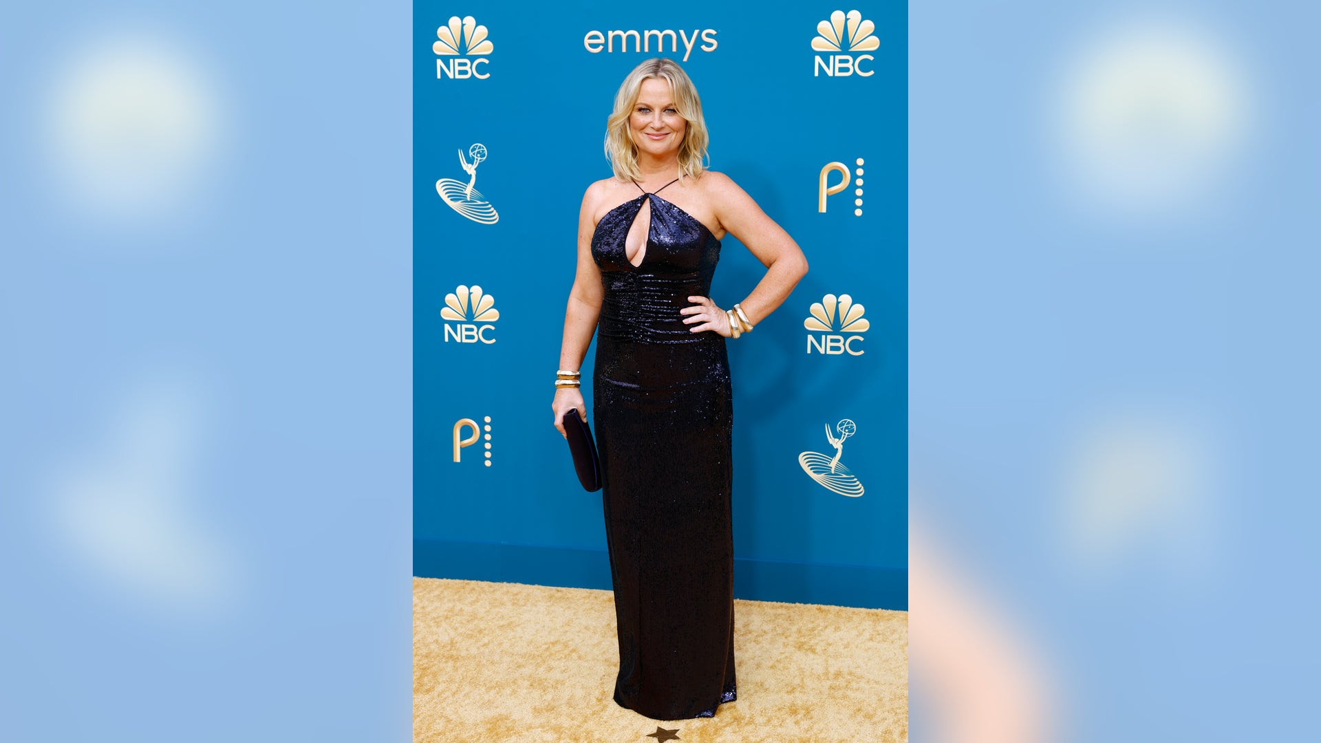 Amy Poehler