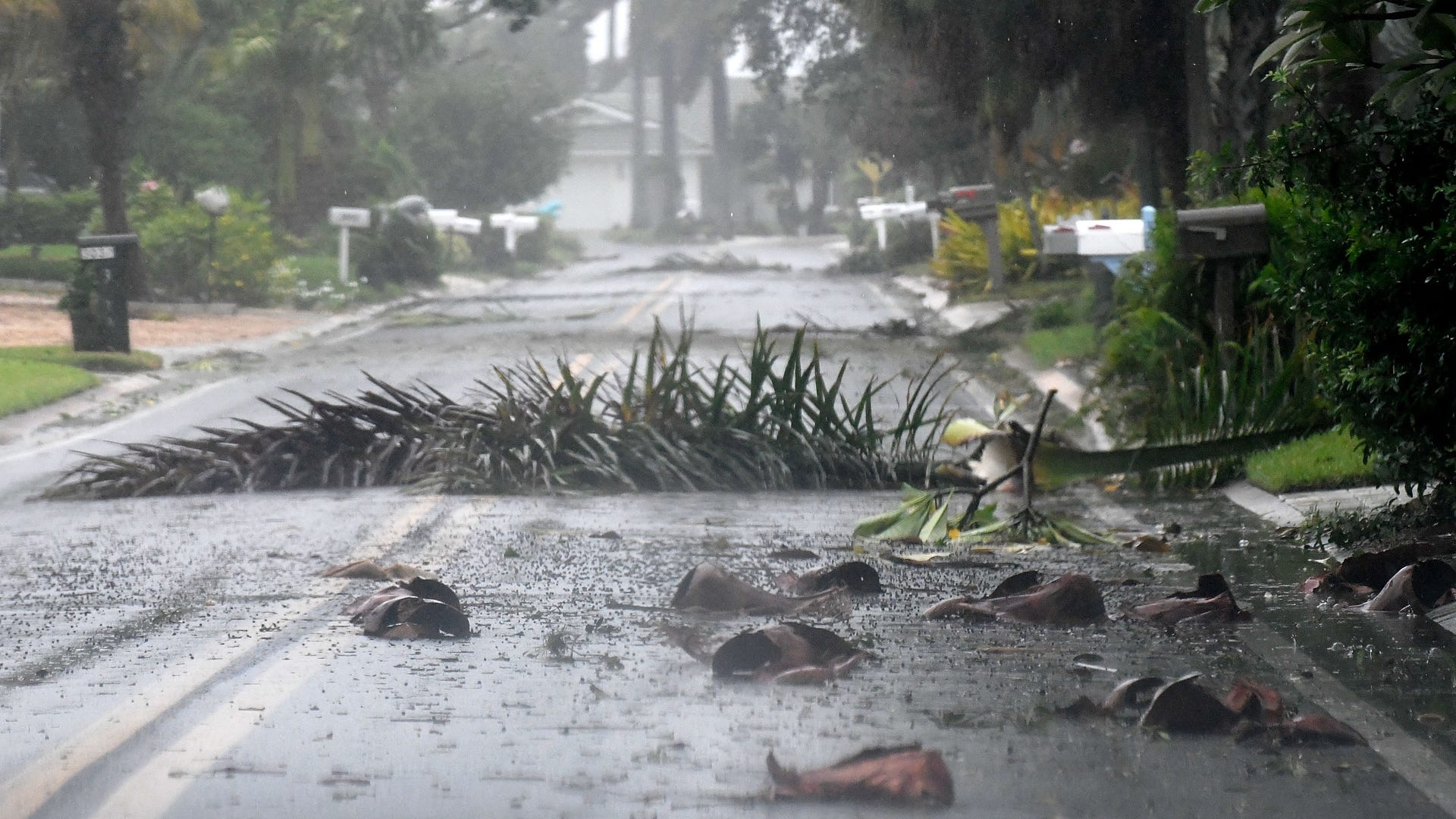 Debris is littered across a Florida street during Hurricane Ian