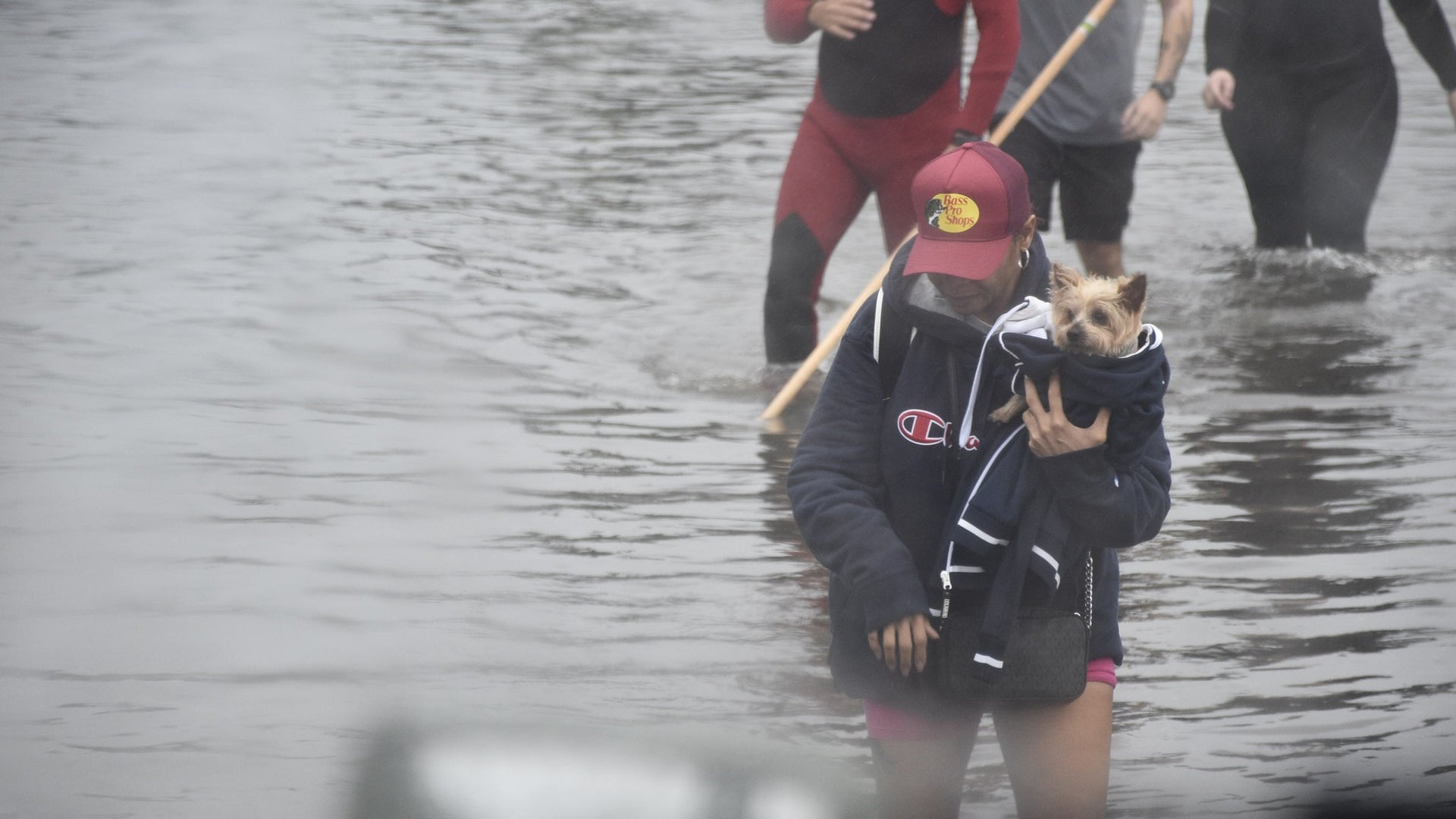 Woman holds small dog