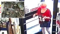 Debbie Collier murder: Unfired round found near scene of Georgia woman's unsolved slaying