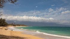 Shark off Hawaiian island bites French woman, leaves her in 'critical condition'