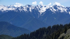Canadian man dies in Olympic National Park