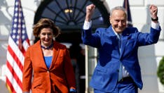 GDP boost too little, too late to help Democrats, strategists say