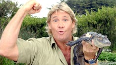 Steve Irwin honored by Bindi, Robert Irwin on 16th anniversary of his death: 'Amazing guardian angel'