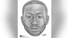 New York City police search for man who allegedly raped Missouri tourist on subway platform