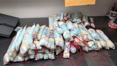 Florida police unit seizes enough fentanyl to kill 1.5 million adults