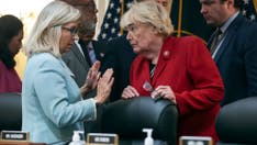 Cheney-backed election reform bill strips VP of all authority when counting presidential votes