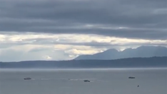 Seattle search suspended as Coast Guard ends hunt for pilot, passengers of floatplane crash