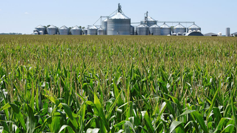 New terrorism threat targeting American food supply emerges after COVID disaster: expert - Fox News