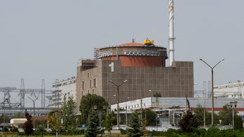 Ukrainian nuclear power plant stops operations as safety measure