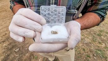 1.8M-year-old human tooth found by archaeologists