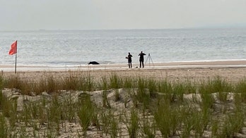 No charges in deaths of 3 New York kids found on Coney Island beach, mother hospitalized for evaluation