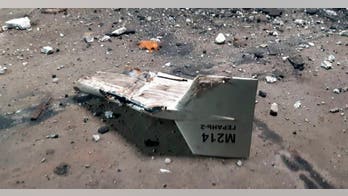 New Ukrainian app helps citizens take down Russian 'kamikaze' drones as attacks intensify