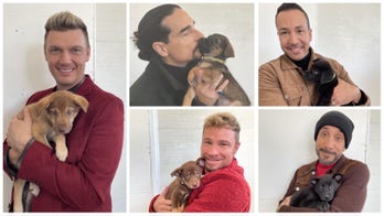 Tennessee shelter puppies share namesake with Backstreet Boys after special visit