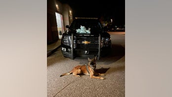 Arizona police K-9 helps cops seize 50,000 fentanyl pills during bust