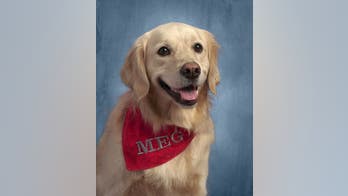 Dog at Ohio Middle School gets her own yearbook picture for 2nd year in a row