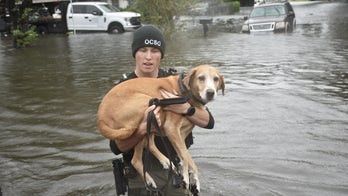 Where's God in Hurricane Ian and the storms of life?