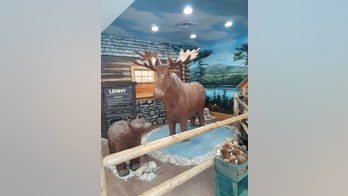 Chocolate moose, anyone? Maine attraction, made of confectionary staple, turns 25