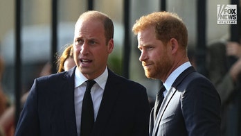 Prince William, Prince Harry should put 'wives aside' and patch up their relationship: American Viscountess