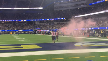 Animal rights activists interrupt Bills-Rams game, carry smoke flare across field