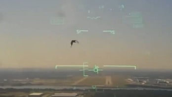 Video shows military jet crashing into Texas neighborhood after colliding with bird