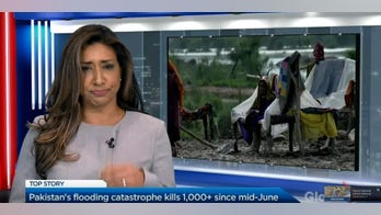 Canadian news anchor shares viral video of her swallowing fly during live broadcast