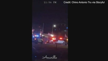 Gunman shoots 3 at Texas fair before being shot by deputies: police