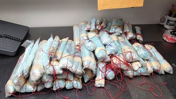 Florida police unit seizes enough fentanyl to kill 1.5 million adults