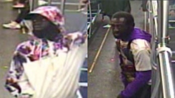 Man robbed, hit over head with bottle in Chicago train attack