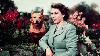 Queen Elizabeth II: Fans plan corgi parade at Buckingham Palace as tribute