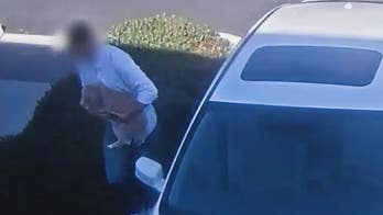 California man charged after video footage shows him stealing dog through window of parked car