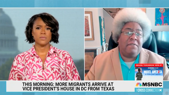 Mystal claims DeSantis migrant relocation like luring 'teenagers' into van with 'candy' and ‘kidnapping’ them