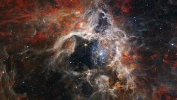 James Webb telescope captures 'Cosmic Tarantula' in stunning new image