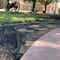 Suspect arrested for recklessly driving through TX State Capitol grounds in Austin, leaving a trail of damage