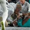 Dolphins’ Mike McDaniel reiterates Tua Tagovailoa had no prior head injury, calls incidents ‘unrelated issues’