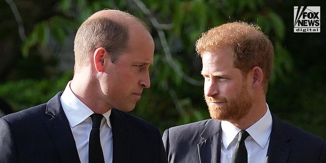 Prince Harry and Prince William chatted before going their separate ways to greet the crowd.