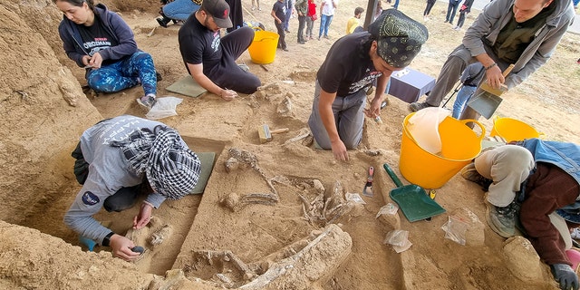 Archeologists work at a dig site following the discovery of a tooth belonging to an early species of human near an excavation site in Dmanisi outside the village of Orozmani, Georgia,