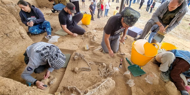 Archeologists work at a dig site following the discovery of a tooth belonging to an early species of human near an excavation site in Dmanisi outside the village of Orozmani, Georgia,