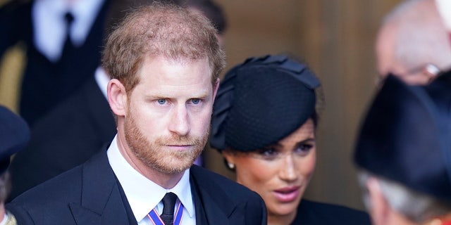 Prince Harry and Meghan, Duchess of Sussex face pressure after petition forms to have their royal titles removed.