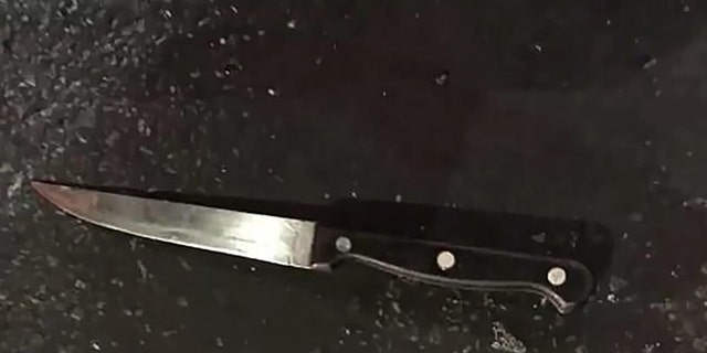 NYPD released a photo of the knife used in Dzenan Camovic's attack on NYPD officers.