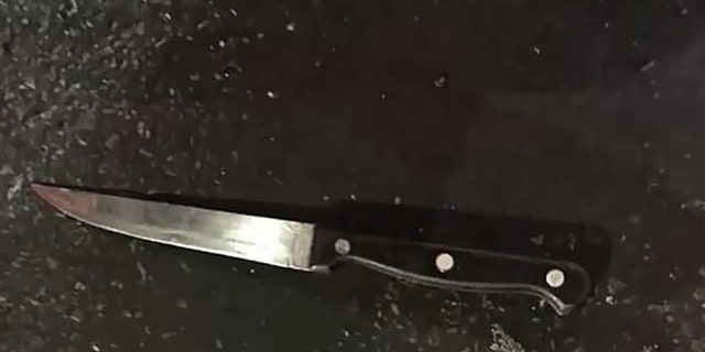 NYPD released a photo of the knife used in Dzenan Camovic's attack on NYPD officers.