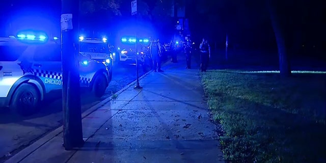 A heavy police presence gathers at Washington Park in Chicago, Illinois, following a deadly shooting. 