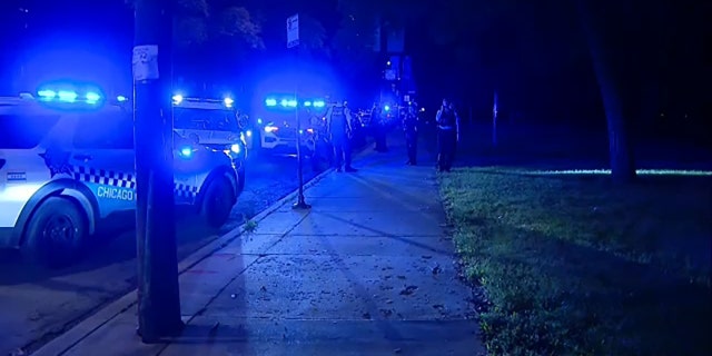 A heavy police presence gathers at Washington Park in Chicago, Illinois, following a deadly shooting. 