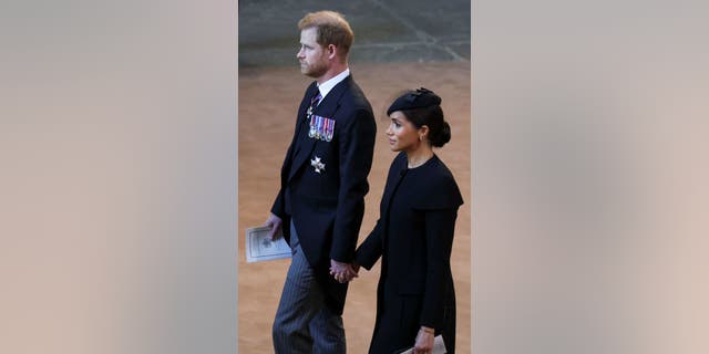 It is unclear why the Duke and Duchess of Sussex, who are no longer working members of the royal family, want the HRH titles for their children.