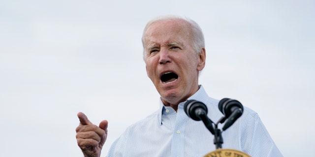 President Biden is asking lawmakers to approve $11.7 billion in military and economic aid to Ukraine by September 30.  (AP Photo/Susan Walsh)
