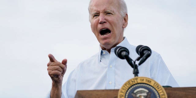 President Biden is requesting that lawmakers approve $11.7 billion in military and economic assistance to Ukraine by Sept. 30. (AP Photo/Susan Walsh)