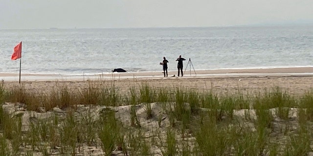 New York Police investigators examine a stretch of beach at Coney Island where three children were found dead in the surf, Monday, Sept. 12, 2022, in New York.