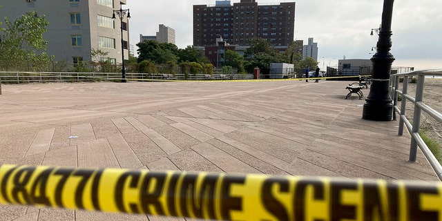 No Charges In Deaths Of 3 New York Kids Found On Coney Island Beach ...