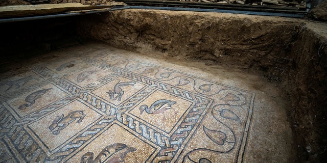 Details of parts of a Byzantine-era mosaic floor are uncovered by a Palestinian farmer in Bureij in central Gaza Strip, Sept. 5, 2022.