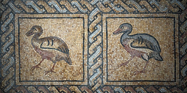 A detail of parts of a Byzantine-era mosaic floor that was recently discovered by a Palestinian farmer in Bureij, central Gaza Strip, on September 5, 2022. 